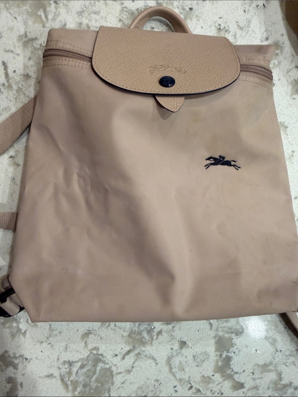 Longchamp light pink backpack with navy logo